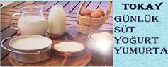 Tokay Günlük Yumurta Süt ve Süt Ürünleri - Mersin